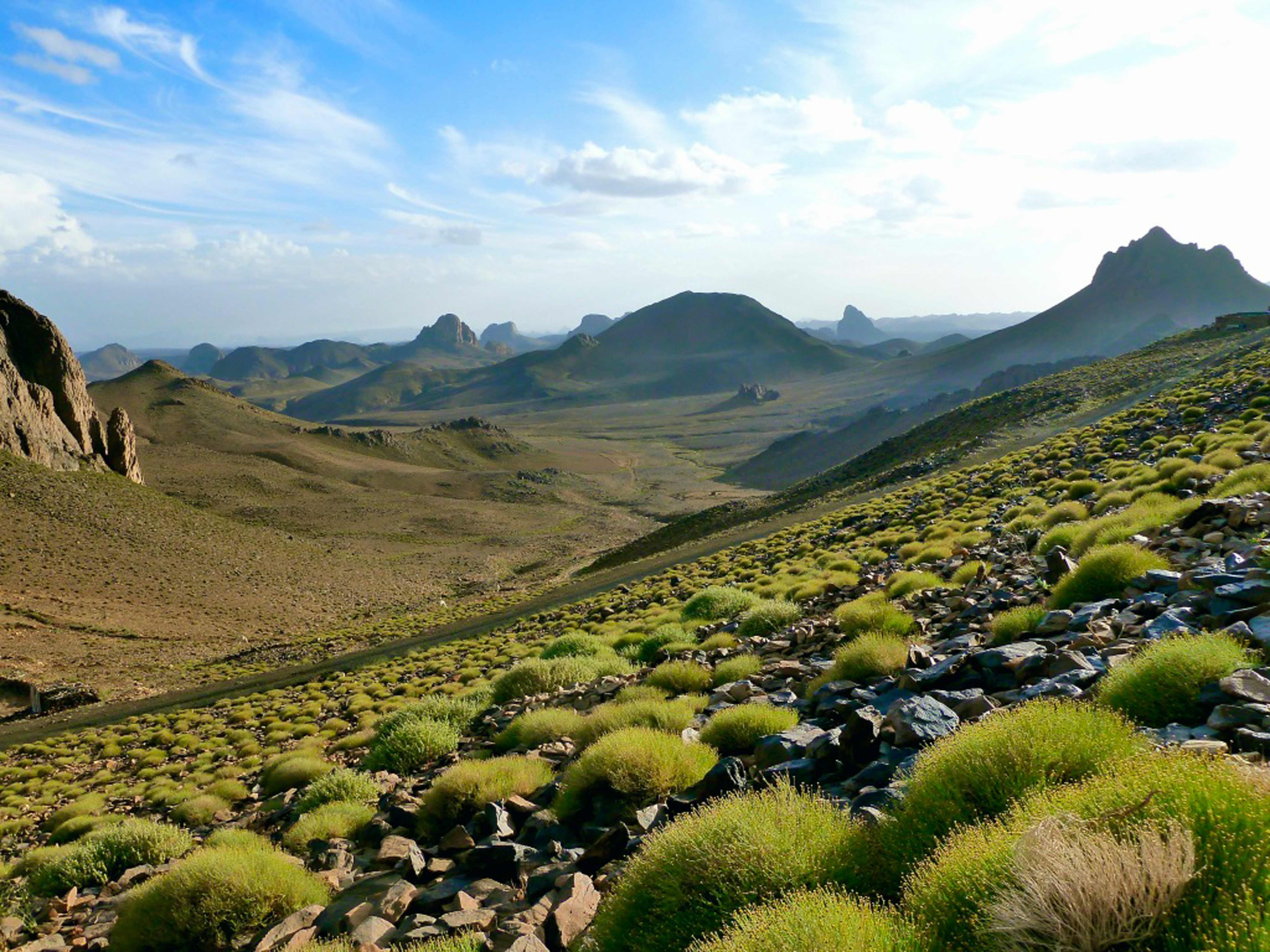 green grass field and mountains during daytime